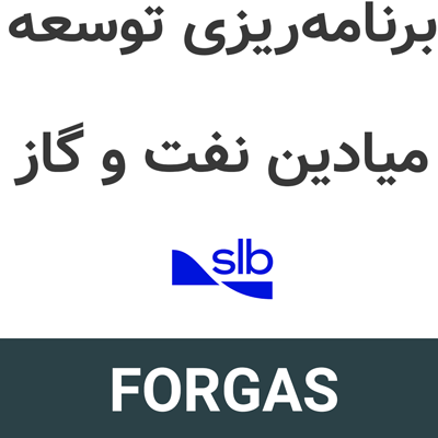 FORGAS 10.8.2 برنامهریزی توسعه میادین نفت و گاز